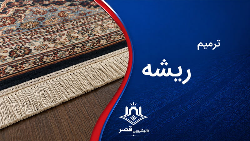 ترمیم ریشه 